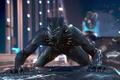 2018 Disney Film, Black Panther - disney photo