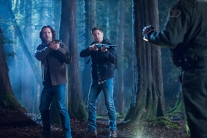Adam Beach as Sheriff Mason in Supernatural - "Don't Go in the Woods"