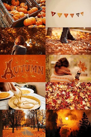  Autumn Vibes 🍁🍂