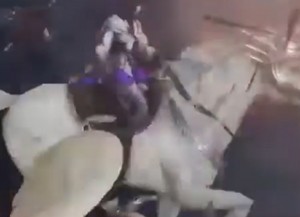  Aya riding an Beautiful White Pegasus