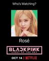 BLACKPINK 'Light up the Sky' Official Poster Rose || Netflix - black-pink photo