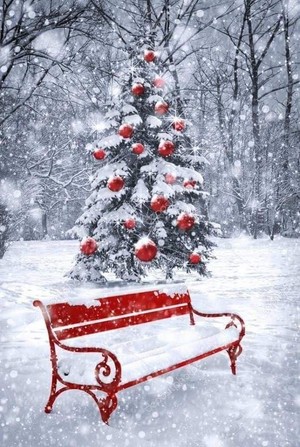  Beautiful Natale 🎄