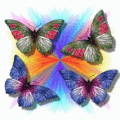 Butterfly(s)  - butterflies fan art