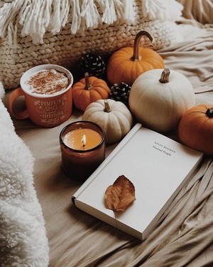  Cozy Autumn Vibes For Ты 🍁