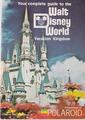 Disney World Vacation Guide - disney photo
