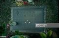 Gravesite Of Natalie Wood - celebrities-who-died-young photo