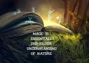 Magical Quotes 🌟🌟