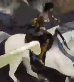 Nene rides on an Beautiful White Pegasus