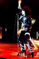 Paul ~Los Angeles, California...August 28, 1977 (Love Gun Tour)  - kiss photo