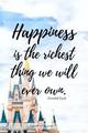 Quote From Donald Duck - disney photo