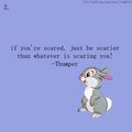 Quote From Thumper - disney photo
