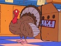 Rugrats - The Turkey Who Came To Dinner 186 - rugrats photo