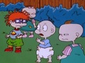 Rugrats - The Turkey Who Came To Dinner 553 - rugrats photo