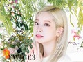 twice-jyp-ent - Twice3 - Special Photos wallpaper