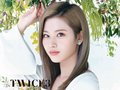 twice-jyp-ent - Twice3 - Special Photos wallpaper