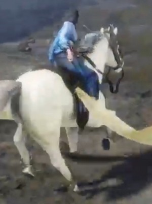 Wang Yi riding an White Pegasus