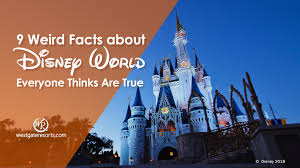  9 Weird Facts About Дисней World Everyone Thinks Are True
