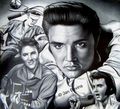 The Legendary Elvis Presley - elvis-presley fan art