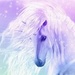 Beautiful Unicorn 💜 - unicorns icon
