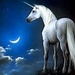 Beautiful Unicorn 💜 - unicorns icon