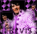 Elvis  Gif Art 🌹 - elvis-presley fan art