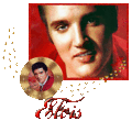 Elvis  Gif 🌹 - elvis-presley fan art