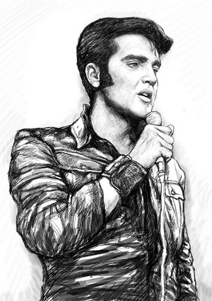  Elvis In Art🧡