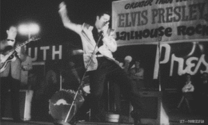  Elvis In konser
