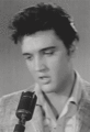 Elvis Presley  - elvis-presley fan art