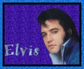 Elvis Sparkles 🧡 - elvis-presley fan art