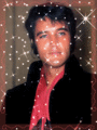 Elvis Sparkles🧡 - elvis-presley fan art