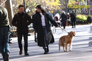  Hawkeye || Hailee Steinfeld, Jeremy Renner, and Lucky the pizza, bánh pizza Dog || BTS