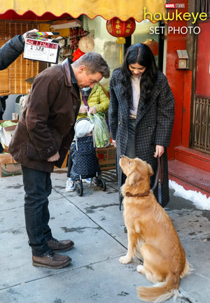  Hawkeye || Hailee Steinfeld, Jeremy Renner, and Lucky the pizza, bánh pizza Dog || BTS