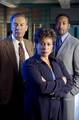 Law and Order Season 11 - law-and-order photo