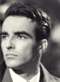 Montgomery Clift 💜 - classic-movies photo