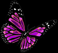 Pretty Butterflies 💜 - butterflies fan art