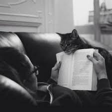  Reading To The Kitty