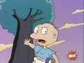 Rugrats - Tommy for Mayor 231 - rugrats photo