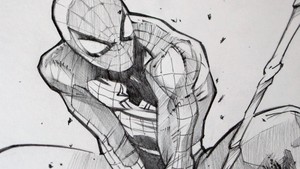  Spiderman অনুরাগী art