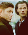 Supernatural || The Family Business || S15 - supernatural photo