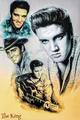 The Legendary Elvis Presley - elvis-presley fan art
