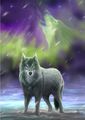 Wolves In Art 🐺 - wolves fan art