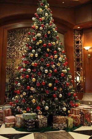  beautiful Weihnachten trees 🎄🎁🎅