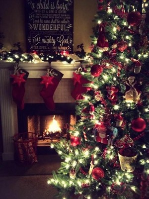  beautiful Weihnachten trees 🎄🎁🎅