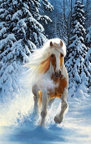  beautiful chevaux in winter❄️⛄