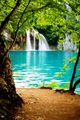 beautiful waterfall scenery 🌊🌸🌼 - mother-nature photo