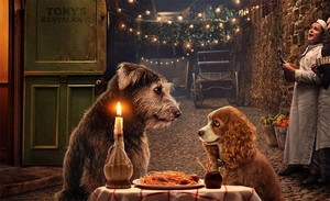  2019 Live Animated Disney Film, Lady And The Tramp