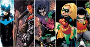 5 Different Robins