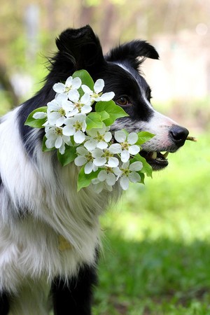  Beautiful Cani 💜