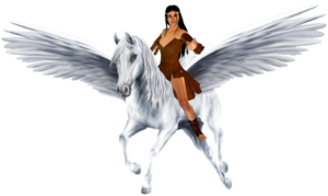  Bellerhina riding her Beautifully Majestic Pegasus 骏马